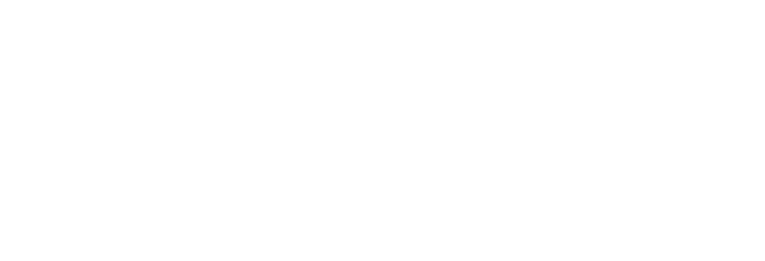 PNG_Horizontalni logo prazni simbol bijela boja